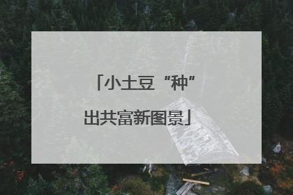 小土豆“种”出共富新图景