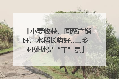 小麦收获、圆葱产销旺、水稻长势好……乡村处处是“丰”景