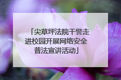 尖草坪法院干警走进校园开展网络安全普法宣讲活动