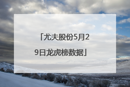 尤夫股份5月29日龙虎榜数据