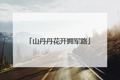 山丹丹花开拥军路