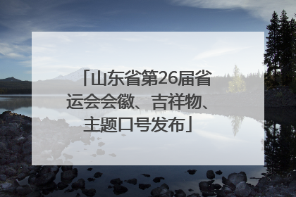 山东省第26届省运会会徽、吉祥物、主题口号发布