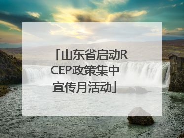 山东省启动RCEP政策集中宣传月活动