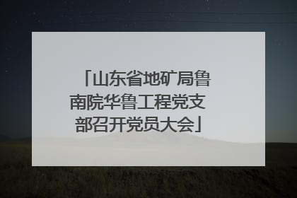 山东省地矿局鲁南院华鲁工程党支部召开党员大会