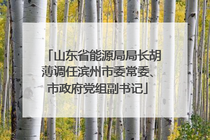 山东省能源局局长胡薄调任滨州市委常委、市政府党组副书记