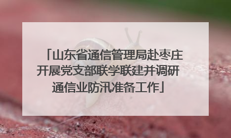 山东省通信管理局赴枣庄开展党支部联学联建并调研通信业防汛准备工作