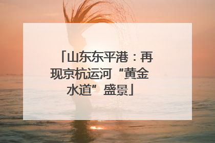山东东平港：再现京杭运河“黄金水道”盛景