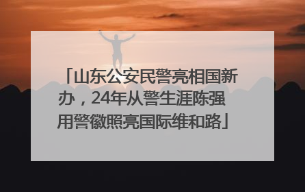 山东公安民警亮相国新办，24年从警生涯陈强用警徽照亮国际维和路