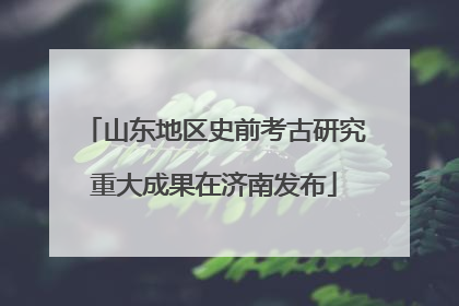 山东地区史前考古研究重大成果在济南发布