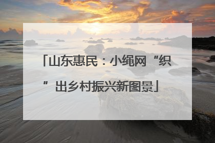 山东惠民：小绳网“织”出乡村振兴新图景