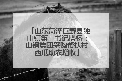 山东菏泽巨野县独山镇第一书记搭桥：山钢集团采购帮扶村西瓜助农增收