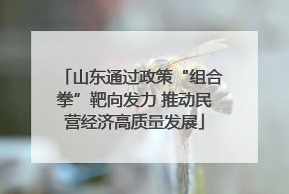 山东通过政策“组合拳”靶向发力 推动民营经济高质量发展