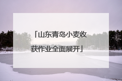 山东青岛小麦收获作业全面展开