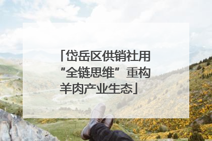 岱岳区供销社用“全链思维”重构羊肉产业生态