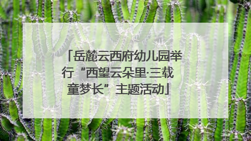 岳麓云西府幼儿园举行“西望云朵里·三载童梦长”主题活动