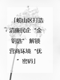 崂山区打造清廉民企“金钥匙” 解锁营商环境“优”密码