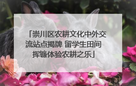 崇川区农耕文化中外交流站点揭牌 留学生田间挥镰体验农耕之乐