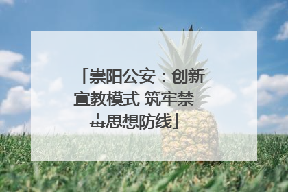 崇阳公安：创新宣教模式 筑牢禁毒思想防线