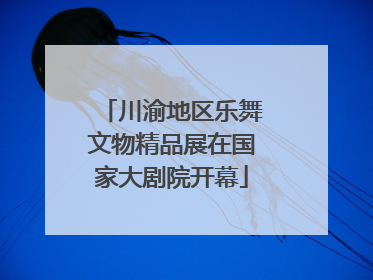 川渝地区乐舞文物精品展在国家大剧院开幕