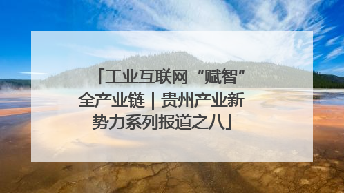 工业互联网“赋智”全产业链｜贵州产业新势力系列报道之八