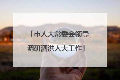 市人大常委会领导调研泗洪人大工作
