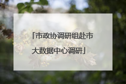 市政协调研组赴市大数据中心调研
