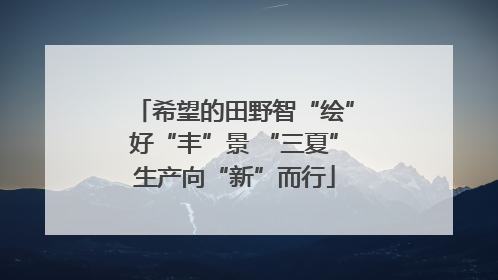 希望的田野智“绘”好“丰”景 “三夏”生产向“新”而行