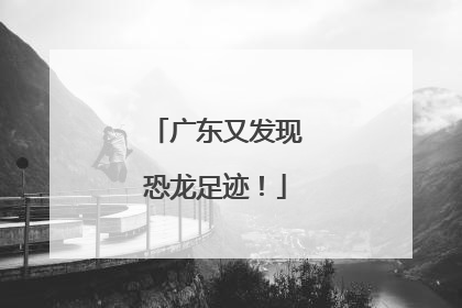 广东又发现恐龙足迹！