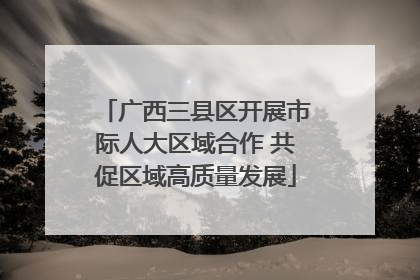 广西三县区开展市际人大区域合作 共促区域高质量发展