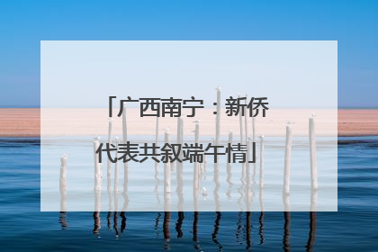 广西南宁：新侨代表共叙端午情