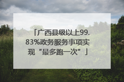 广西县级以上99.83%政务服务事项实现“最多跑一次”