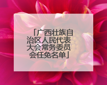 广西壮族自治区人民代表大会常务委员会任免名单