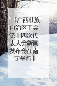 广西壮族自治区工会第十四次代表大会新闻发布会在南宁举行