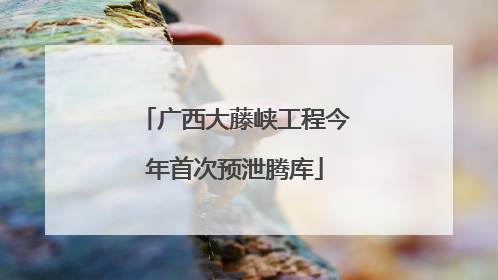 广西大藤峡工程今年首次预泄腾库
