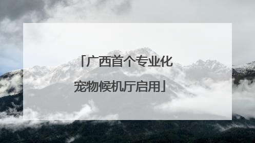 广西首个专业化宠物候机厅启用
