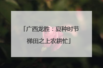 广西龙胜：夏种时节 梯田之上农耕忙