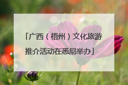 广西（梧州）文化旅游推介活动在悉尼举办