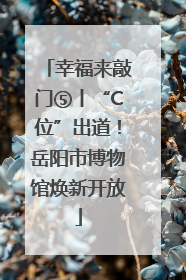 幸福来敲门⑤丨“C位”出道！岳阳市博物馆焕新开放