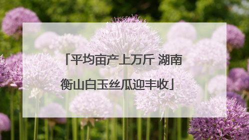 平均亩产上万斤 湖南衡山白玉丝瓜迎丰收