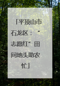 平顶山市石龙区：“志愿红”田间地头助农忙
