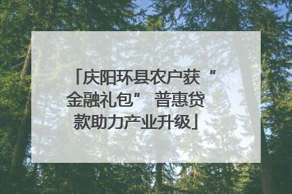 庆阳环县农户获“金融礼包” 普惠贷款助力产业升级