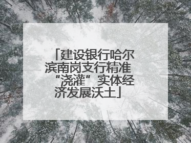 建设银行哈尔滨南岗支行精准“浇灌”实体经济发展沃土