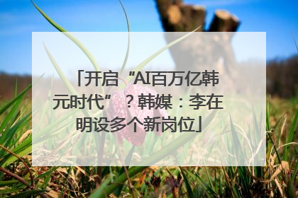 开启“AI百万亿韩元时代”？韩媒：李在明设多个新岗位