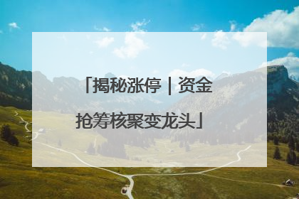 揭秘涨停｜资金抢筹核聚变龙头