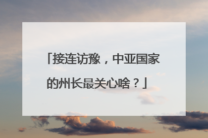 接连访豫，中亚国家的州长最关心啥？