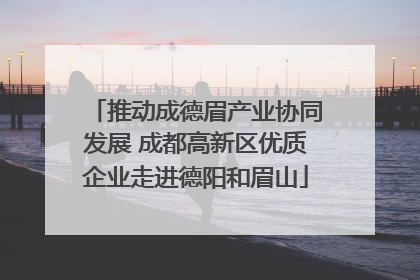 推动成德眉产业协同发展 成都高新区优质企业走进德阳和眉山