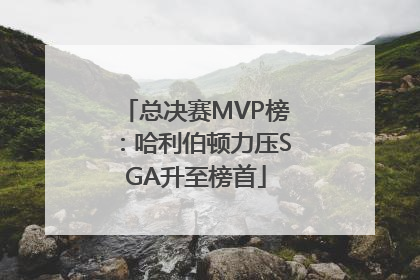 总决赛MVP榜：哈利伯顿力压SGA升至榜首
