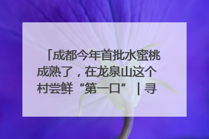 成都今年首批水蜜桃成熟了，在龙泉山这个村尝鲜“第一口”｜寻找和美乡村推荐官