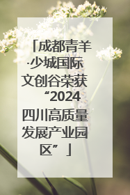 成都青羊·少城国际文创谷荣获“2024四川高质量发展产业园区”