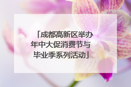 成都高新区举办年中大促消费节与毕业季系列活动